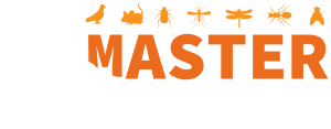 master logo nv 3 blanc
